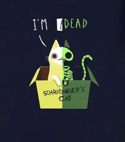 Schrodinger's Whatever